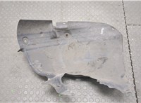  Защита арок (подкрылок) Renault Scenic 2003-2009 9270770 #1