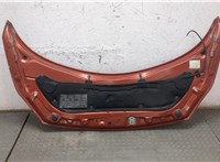  Капот Renault Scenic 2003-2009 9273794 #7