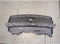  Решетка радиатора Ford Focus 2 2005-2008 9274074 #3