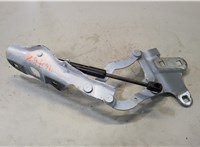  Петля капота Alfa Romeo Stelvio 2016- 9287403 #1