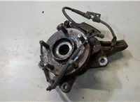  Ступица (кулак, цапфа) Hyundai Tucson 1 2004-2009 9298381 #1