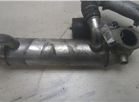  Охладитель отработанных газов Volkswagen Touareg 2002-2007 9302429 #1