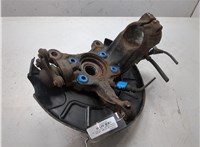 1K0407621F, 1K0407256AA Ступица (кулак, цапфа) Volkswagen Tiguan 2007-2011 9305917 #3