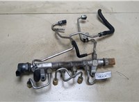  Рампа (рейка) топливная Volkswagen Tiguan 2011-2016 9309705 #1