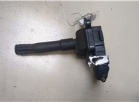  Катушка зажигания Volkswagen Passat 5 1996-2000 9312489 #1