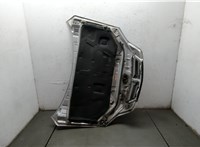  Капот KIA Sorento 2002-2009 9317927 #9