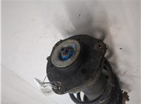 1K0413031BF, 1K0411105AQ Амортизатор подвески Skoda Octavia (A5) 2008-2013 9320063 #6
