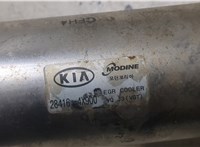  Охладитель отработанных газов KIA Carnival 2006-2014 9325603 #2