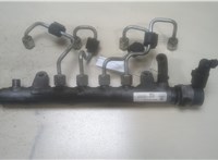  Рампа (рейка) топливная Volkswagen Passat 6 2005-2010 9325690 #1