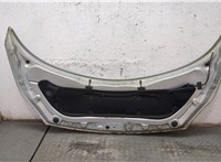  Капот Renault Scenic 2003-2009 9329237 #8