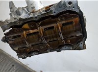  Блок цилиндров (Шорт блок) Ford Focus 2 2008-2011 9338303 #10