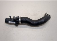 0261230453, AG919F479AC Патрубок интеркулера Ford EcoSport 2017- 9339894 #2