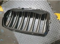 51137185224 Решетка радиатора BMW X6 E71 2007-2014 9340506 #9