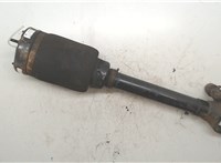 A1643206113 Амортизатор подвески Mercedes GL X164 2006-2012 9345389 #4