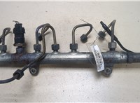  Рампа (рейка) топливная Renault Scenic 2003-2009 9348322 #1