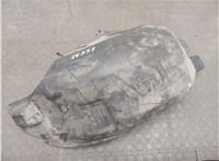 5109361AA, 5109625AA, 4894727AB Защита арок (подкрылок) Dodge Grand Caravan 2007-2010 9348653 #1