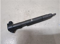 A6510702887 Форсунка топливная Mercedes E W212 2009-2013 9359460 #1