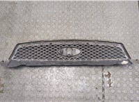  Решетка радиатора Ford Focus 2 2005-2008 9359623 #2