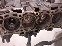  Блок цилиндров (Шорт блок) Renault Scenic 2003-2009 9361610 #2