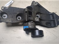  Натяжитель приводного ремня Renault Scenic 2003-2009 9361624 #1