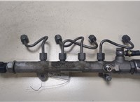 A6510700495 Рампа (рейка) топливная Mercedes C W204 2006-2015 9362965 #1