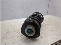 3AA413031M Амортизатор подвески Volkswagen Passat 7 2010-2015 Европа 9366236 #2