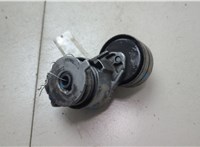 9053284628 Натяжитель приводного ремня Renault Scenic 2003-2009 9368606 #6