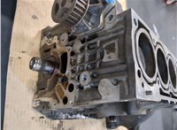 036103101AM Блок цилиндров (Шорт блок) Volkswagen Golf 4 1997-2005 9370213 #13