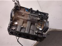  Блок цилиндров (Шорт блок) Hyundai Santa Fe 2005-2012 9370907 #1