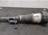 A2213201838, A2213201738 Амортизатор подвески Mercedes S W221 2005-2013 9374555 #6