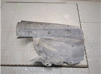  Защита арок (подкрылок) Renault Scenic 2003-2009 9379419 #1