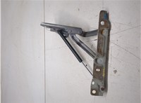 4575656AD Петля крышки багажника Chrysler 300M 1998-2004 9383848 #3