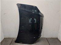  Капот Hyundai Tucson 1 2004-2009 9385083 #1