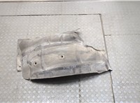  Защита арок (подкрылок) Renault Scenic 2009-2012 9388774 #1