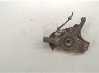 7672265, 51857220 Ступица (кулак, цапфа) Fiat Panda 2003-2012 9391047 #3