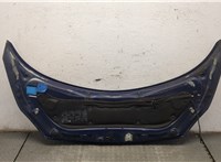  Капот Renault Scenic 2003-2009 9397944 #4