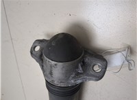 8QM513049AD Амортизатор подвески Volkswagen Taos 9406477 #6