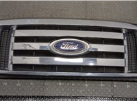  Решетка радиатора Ford F-150 2009-2014 9423800 #1