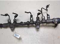 0445214224, 55573467 Рампа (рейка) топливная Opel Corsa D 2006-2011 9426623 #1