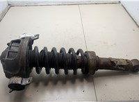 7L6513029N, 7L6511115F Амортизатор подвески Volkswagen Touareg 2006-2010 9429276 #4