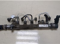  Рампа (рейка) топливная Volkswagen Tiguan 2011-2016 9438593 #1