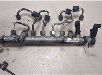  Рампа (рейка) топливная Volkswagen Tiguan 2007-2011 9440362 #1