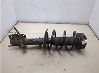 E4302JG71A, 54010JG70C Амортизатор подвески Nissan X-Trail (T31) 2007-2015 9454921 #4