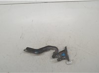65401JG000 Петля капота Nissan X-Trail (T31) 2007-2015 9456205 #4