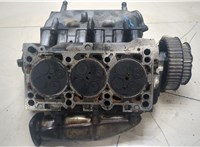  Головка блока (ГБЦ) Audi A4 (B6) 2000-2004 9463872 #1