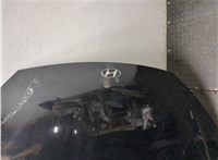 2730126600 Капот Hyundai Coupe (Tiburon) 2002-2009 9464935 #10