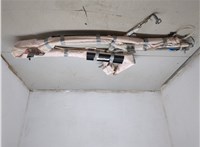 DB5Z78042D94A, DB5Z78042D95A Подушка безопасности боковая (шторка) Ford Explorer 2015-2019 9468296 #1