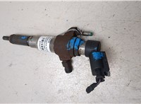 9802448680 Форсунка топливная Ford Mondeo 4 2007-2015 9469176 #2