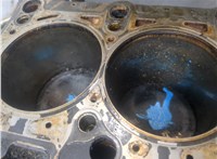 06C100103X Блок цилиндров (Шорт блок) Audi A6 (C5) 1997-2005 9475856 #9