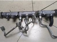 03L130089 Рампа (рейка) топливная Volkswagen Tiguan 2007-2011 9478217 #1